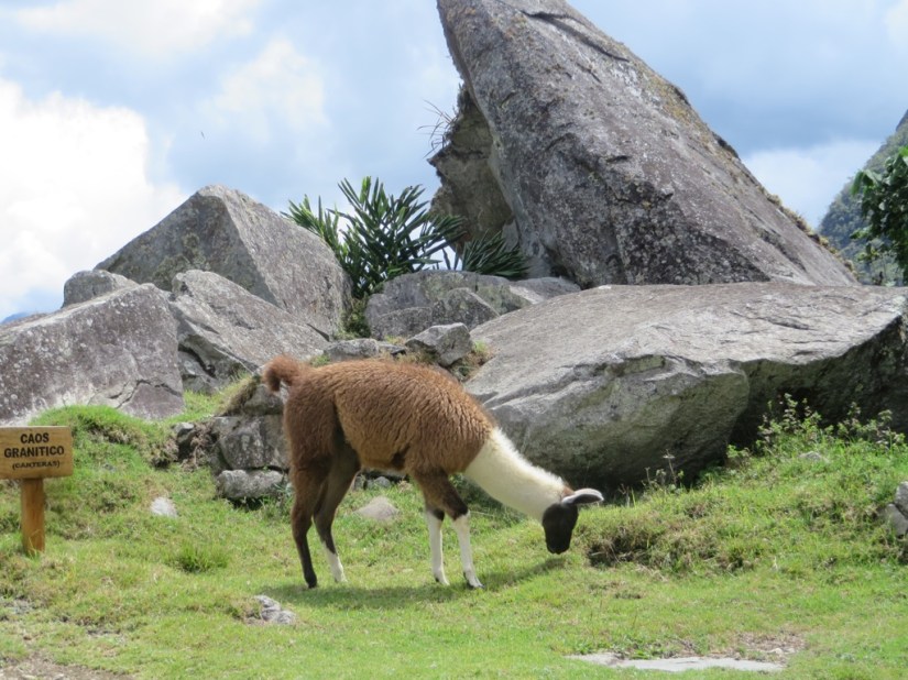 847A3F7B-738F-4B44-A157-521552E55D82