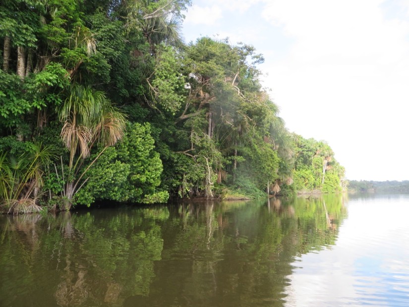 87A4D4D9-DC69-48E4-BA21-E98552DC86F1