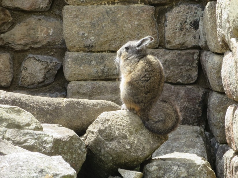 92F1DBBA-2DCE-487F-8379-B0B30C806C47