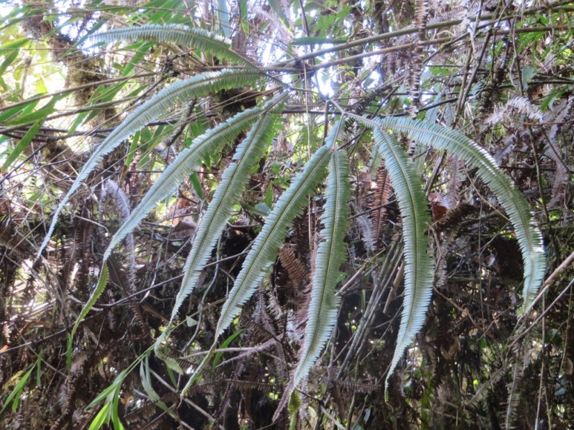 9433311A-503D-4267-8F3D-21CADC3412A4