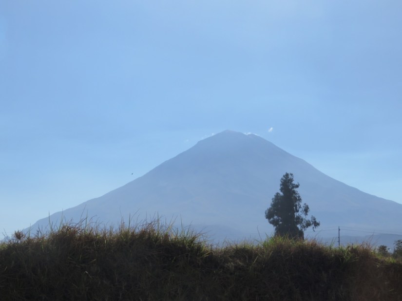 A621A394-1E7D-48DB-8D00-63A28647DE35