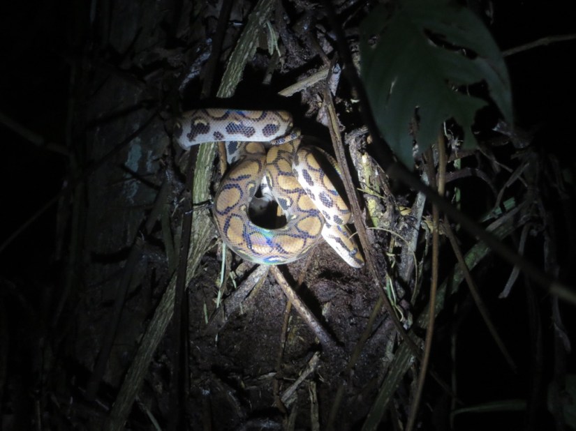 AD7CBDE2-82AD-46AA-B6BA-35DA06C1B619