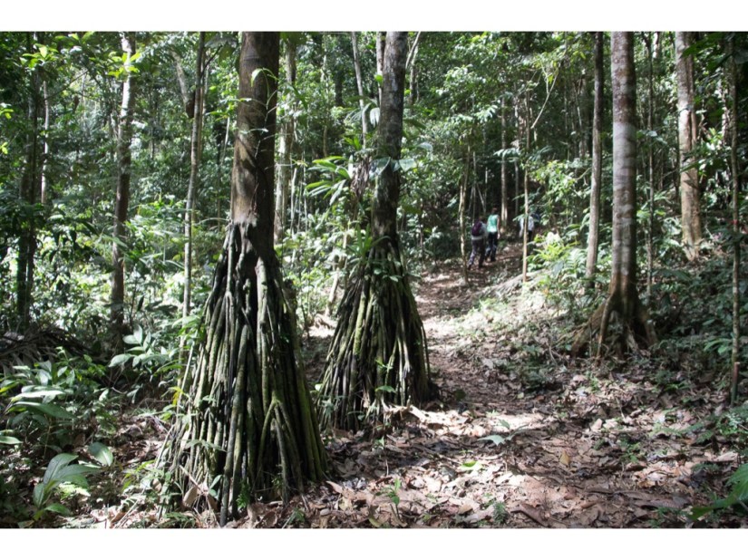 B6FCB1C6-746B-43AC-B13B-A9BCFC36831D