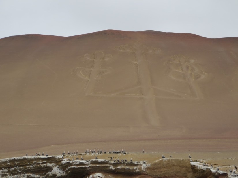 C613A024-CDF7-4ADE-AA51-9D487B9928DA