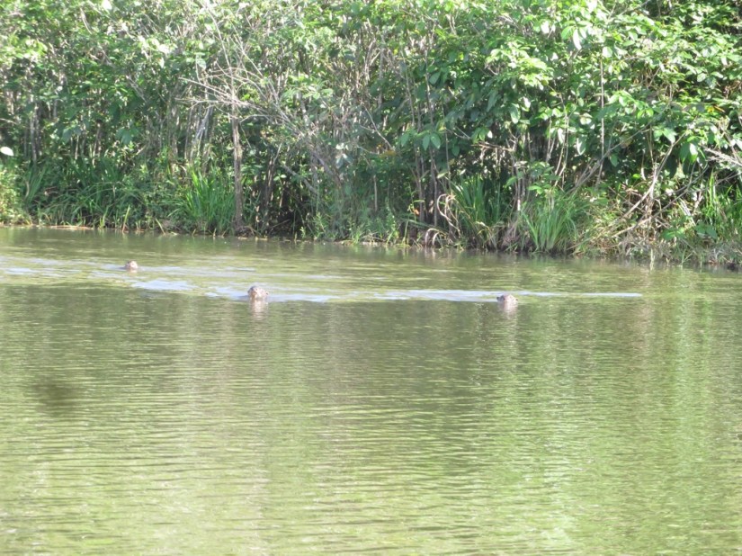 DA97F5D6-3EAC-440B-84CA-388E059926F7