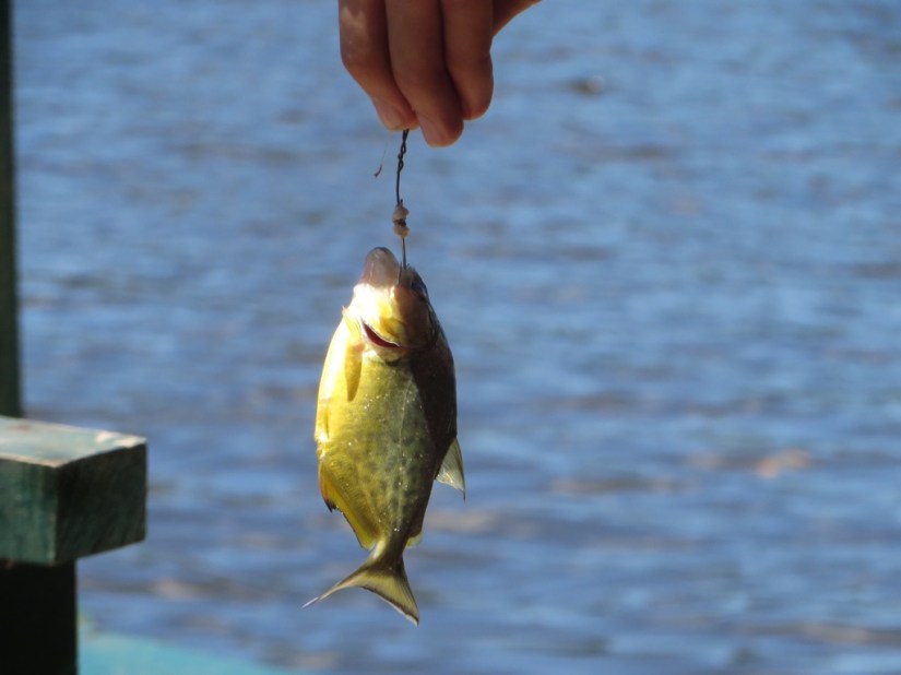 E178B076-4652-42FF-989E-35D85F592956