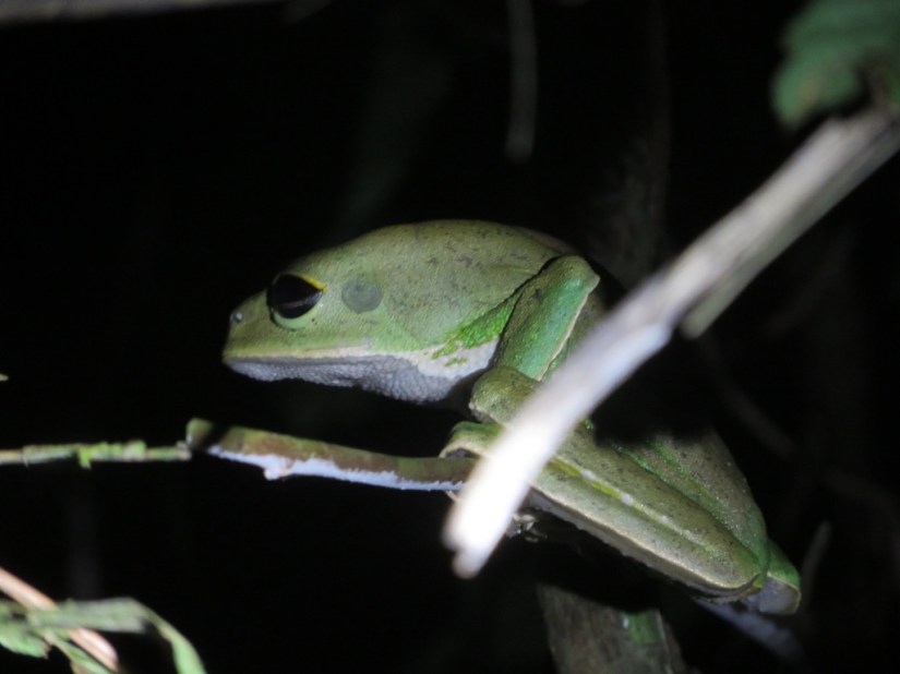 E4B632EF-904A-421B-805A-58BCD4D255CE