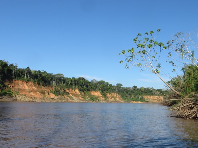 F109CFC0-BA43-47E5-80F5-E25BCC602F8C