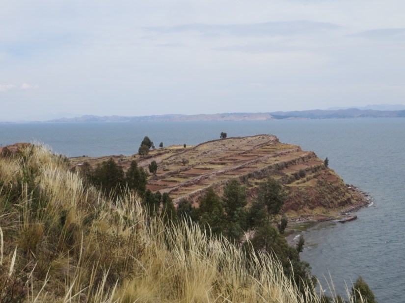 F50B4AF2-1C93-4C9C-B593-0C58E6D8FC07