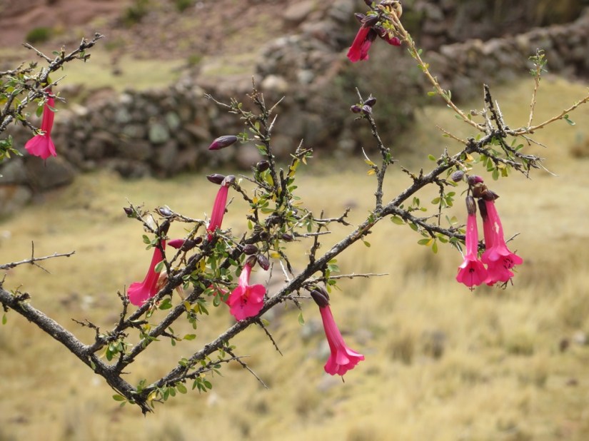 F7400179-925F-4CC8-AFD7-C48AF0058AD0