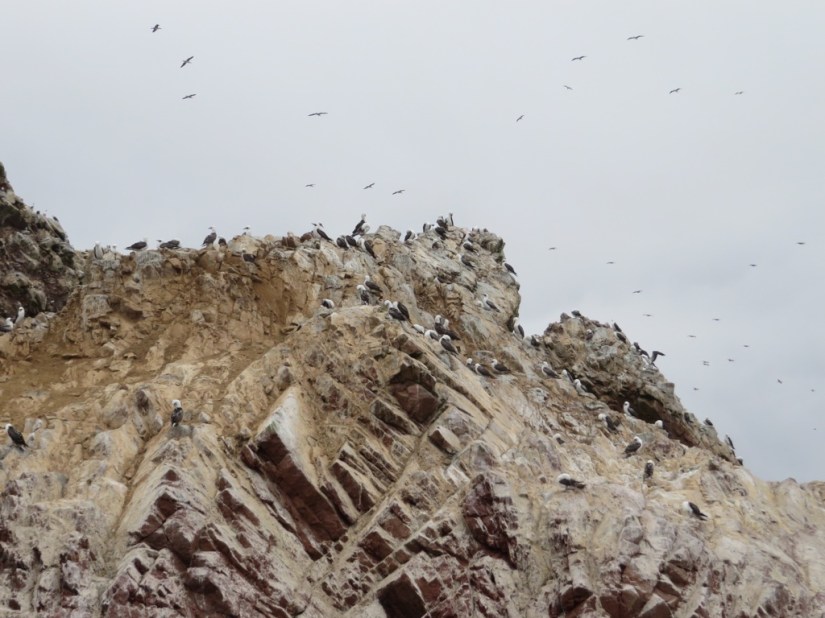 FD30451F-9F23-42A6-AFF9-CA68AC7C6CD9