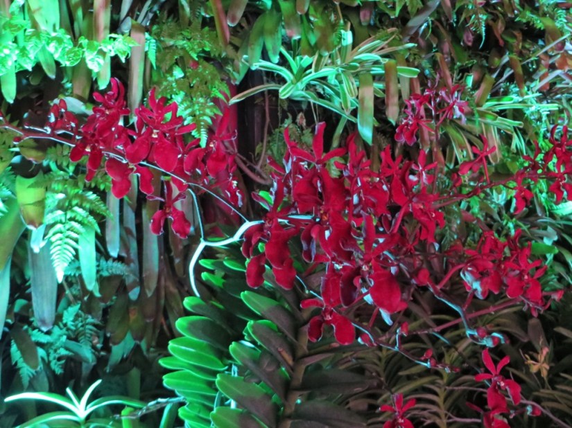 36E6B79C-F685-46E6-BAA8-3A26DA367E74