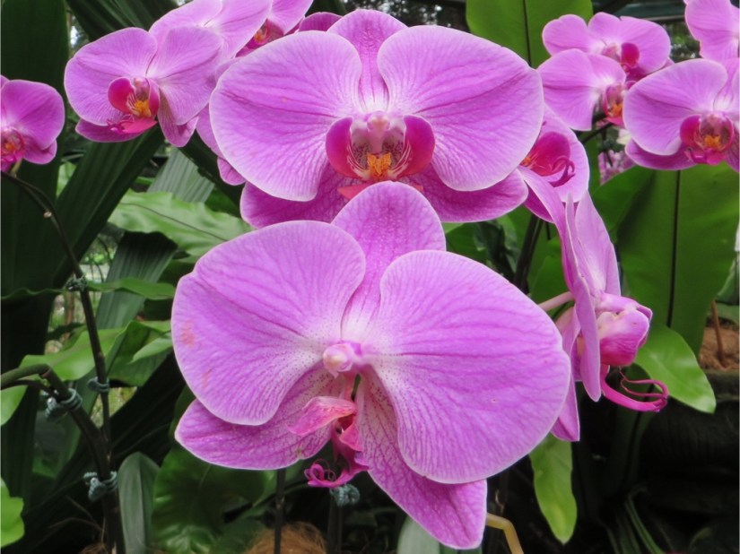 42EA5A8F-9580-45CA-B6AB-734B259F062F