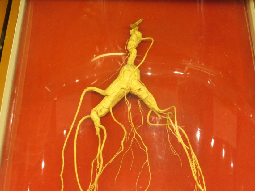 57E9677B-5793-4FDA-86F7-596E8EEF4924