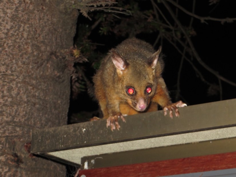 6300165B-BD9B-4201-95B7-A441BBE3DE20