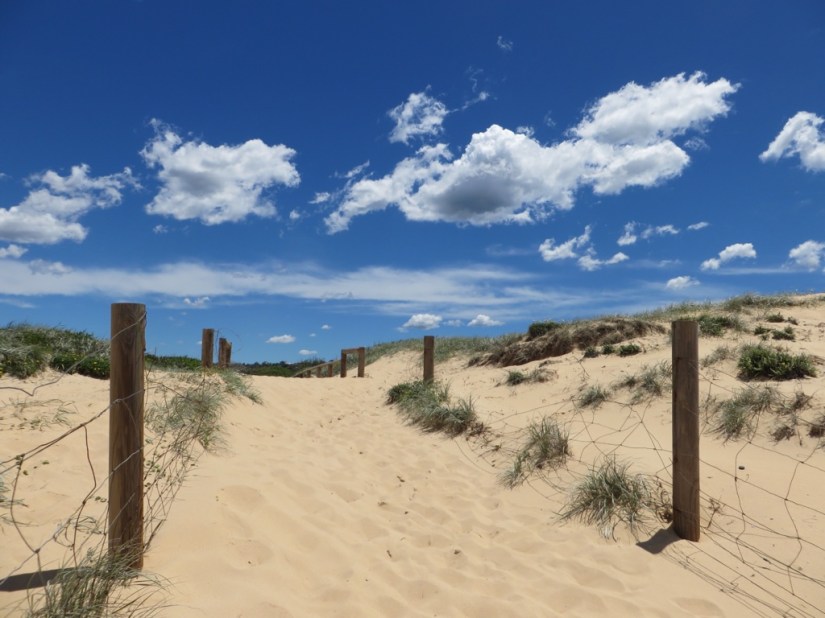 74F75419-5B66-495C-B4FC-9615475B8E4F