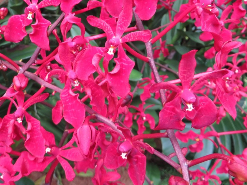 7A3DAB33-7D5F-4291-BBF8-D648928DC5DD