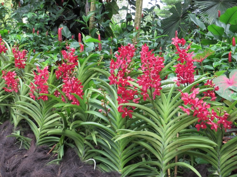 80A2496B-1EAD-4B2F-9AAC-45B5ACF35428