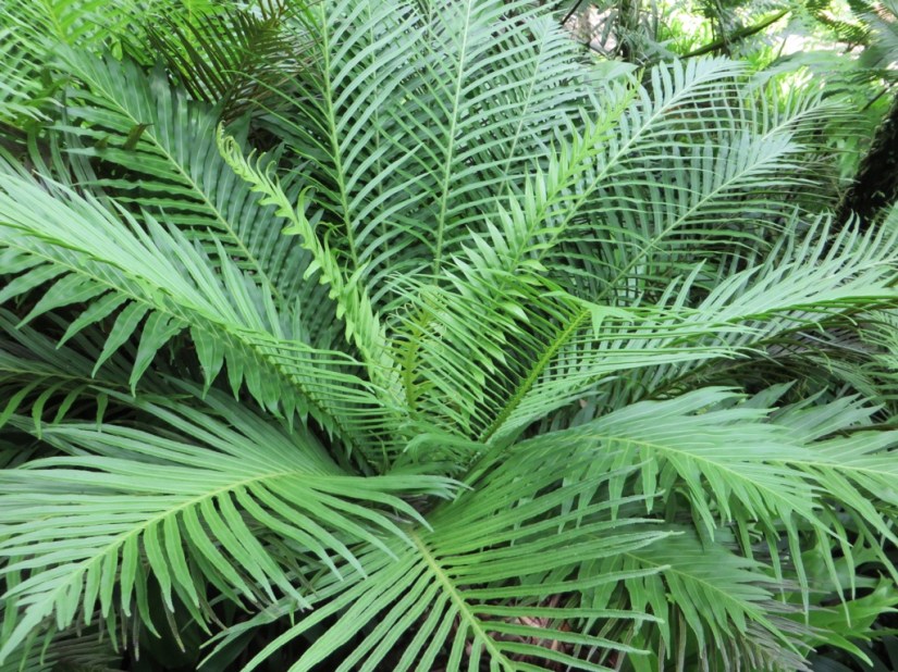 8CB3C518-8903-46D0-80C8-2657100FC50B