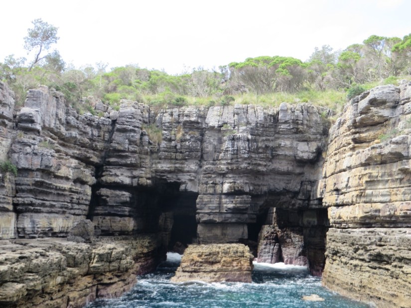 8EAC41C0-A947-47C4-A229-CF836B5FC50A