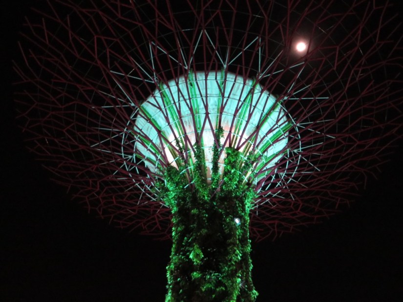 94CB9EE1-950C-4B82-9782-1F39D7CBDA7A