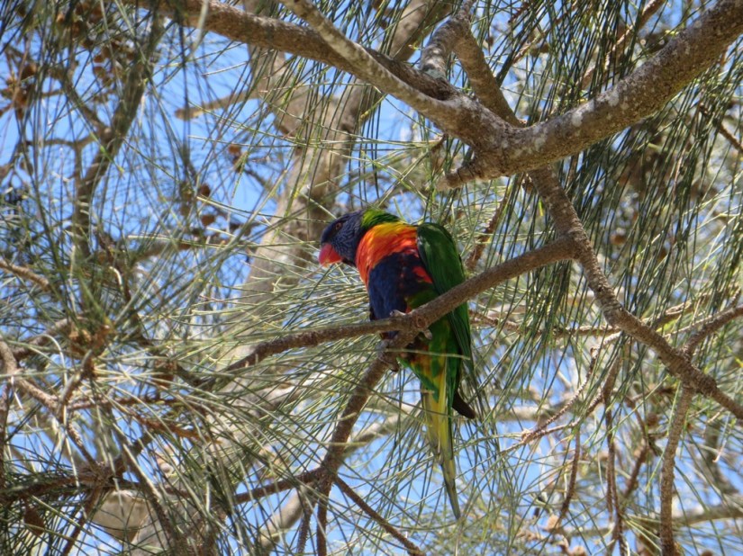 99FA4412-9DCD-4F92-8C7D-8B3E6AEF244C