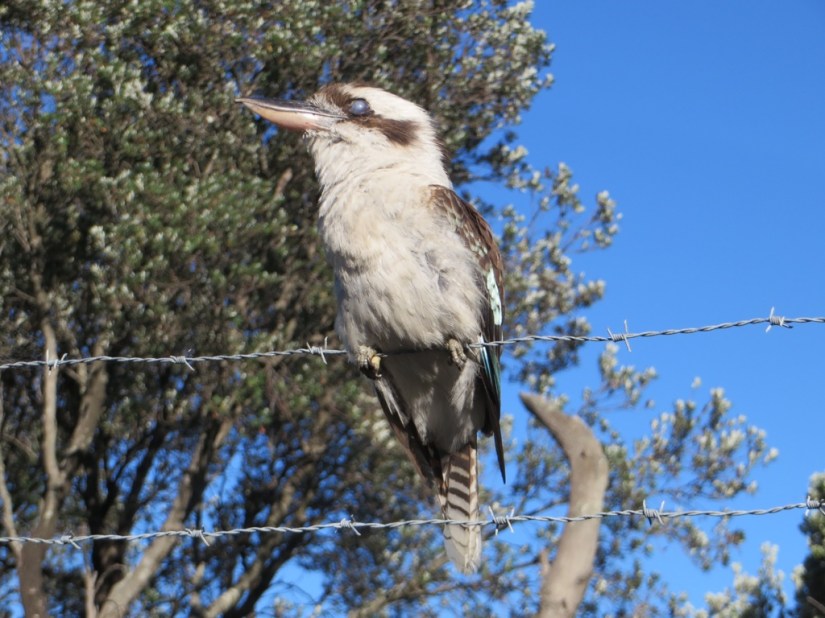 AEBAFBC0-1BCA-494D-B693-88F3A902A40A