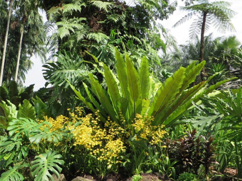 B3ED64BB-0C6F-49FB-AE4B-BF2BE38A11AF