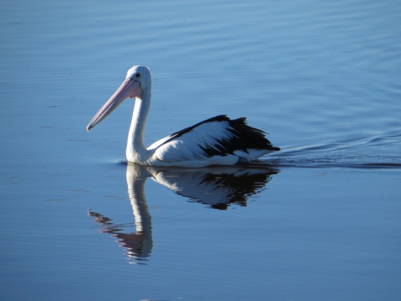 CE89CB2D-6DD8-4043-B614-1B272342A235