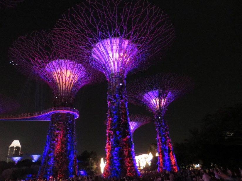 D1CA11FF-8422-496A-94CF-21155C7D3F6E