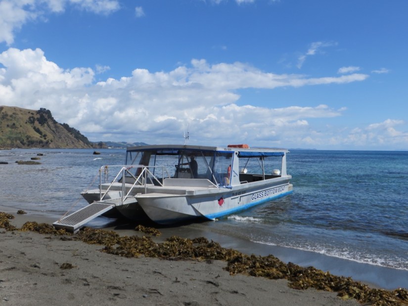 0648B90E-4DE0-4BFC-A693-DFF032E2FFE5