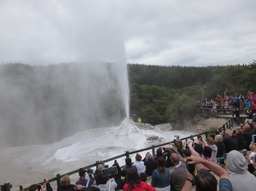 147A2F41-7F22-4525-A775-D27A8A35097D