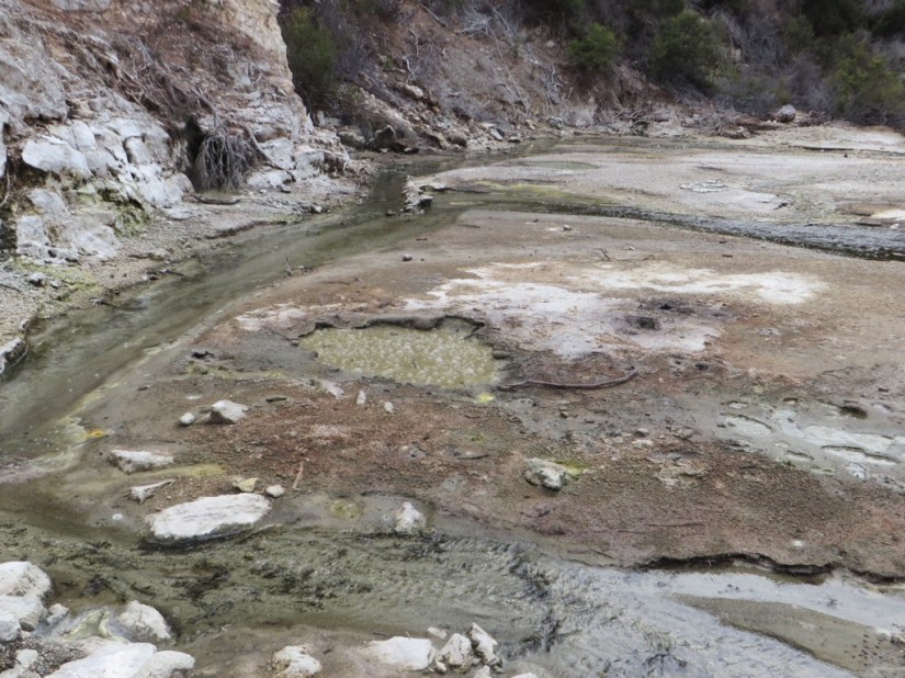 17FC2AF0-8FA7-4F0A-9091-904AEEDB822F