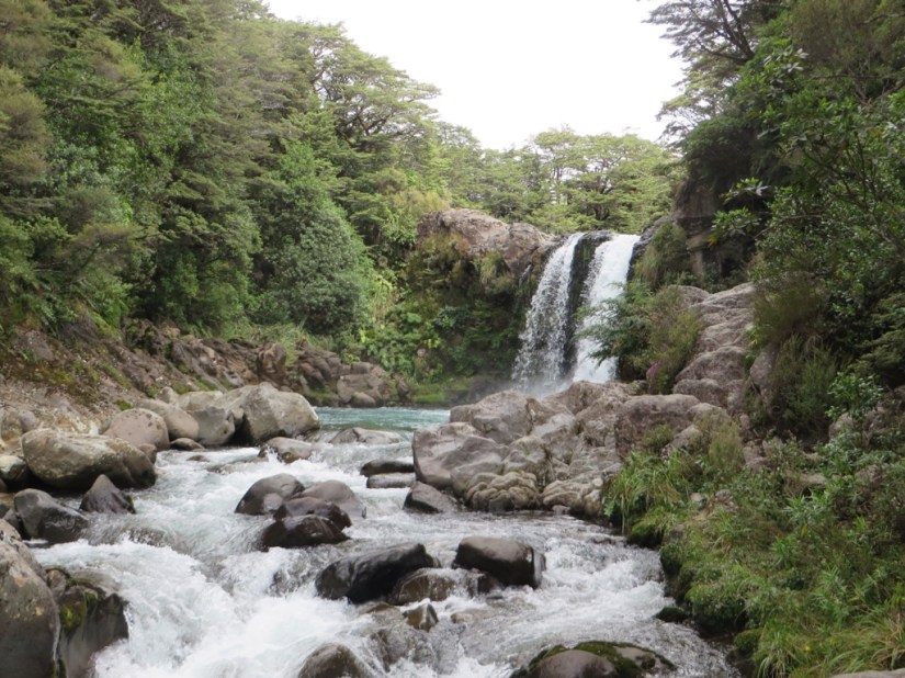 19AA6A6F-C119-4661-BC9D-E846259A4BC6