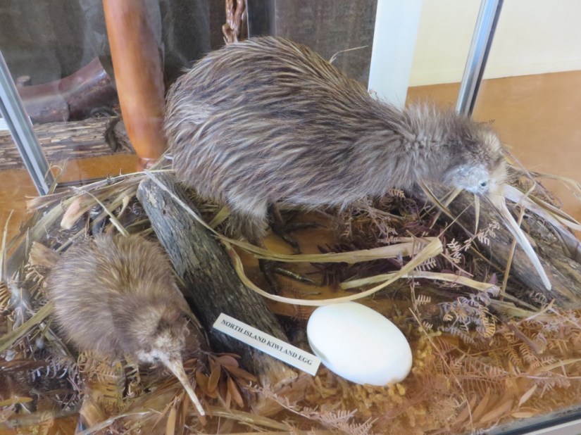 3C69BCBE-55DA-4555-B7D8-107BA5DE6FCB