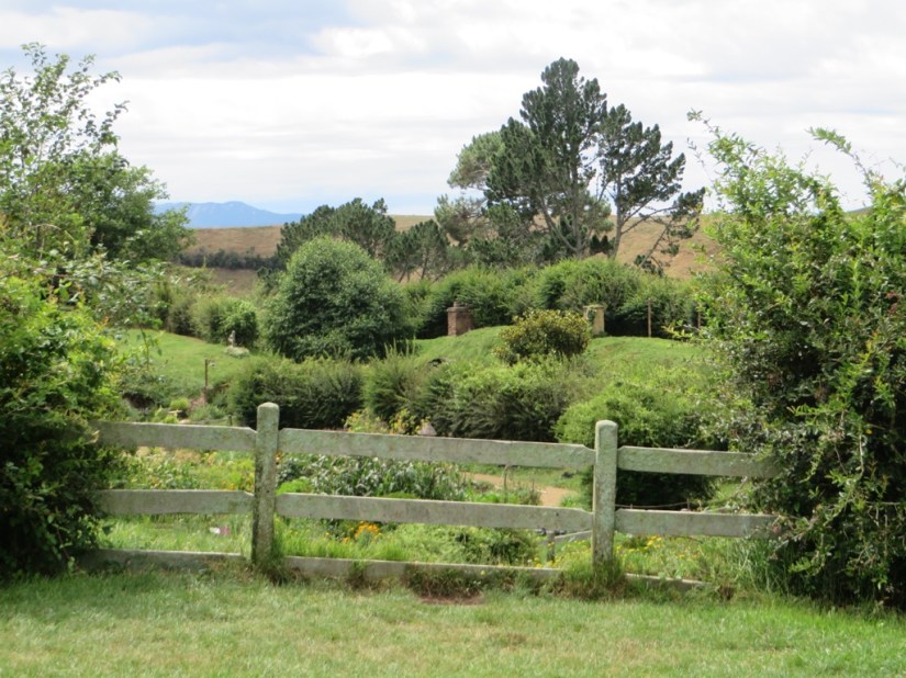 56D84264-B3B1-40DA-A1B2-7B1908246F8F