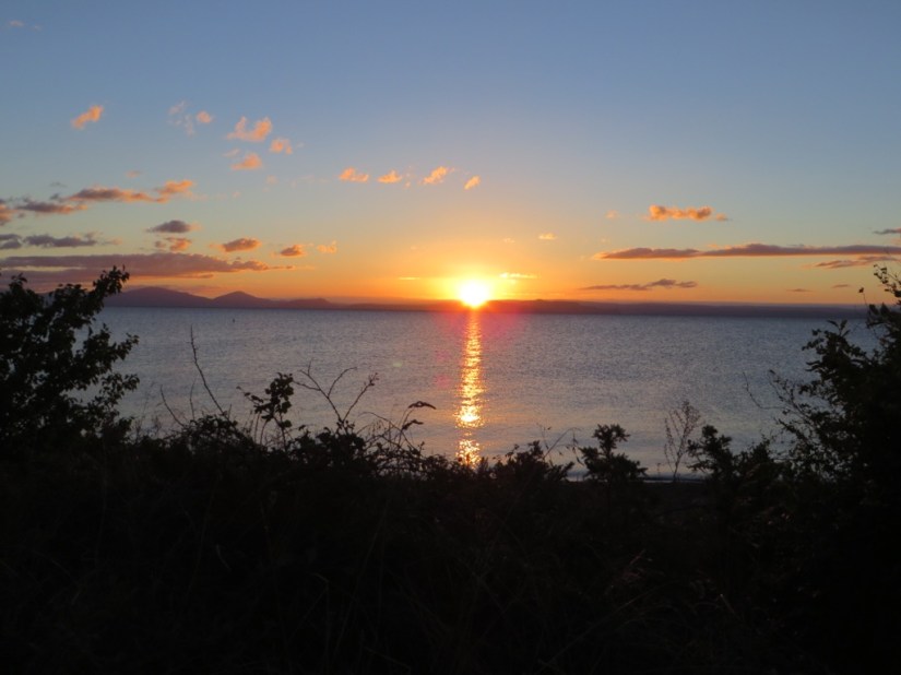 57A1A67A-9F74-427F-A528-6507E7938474