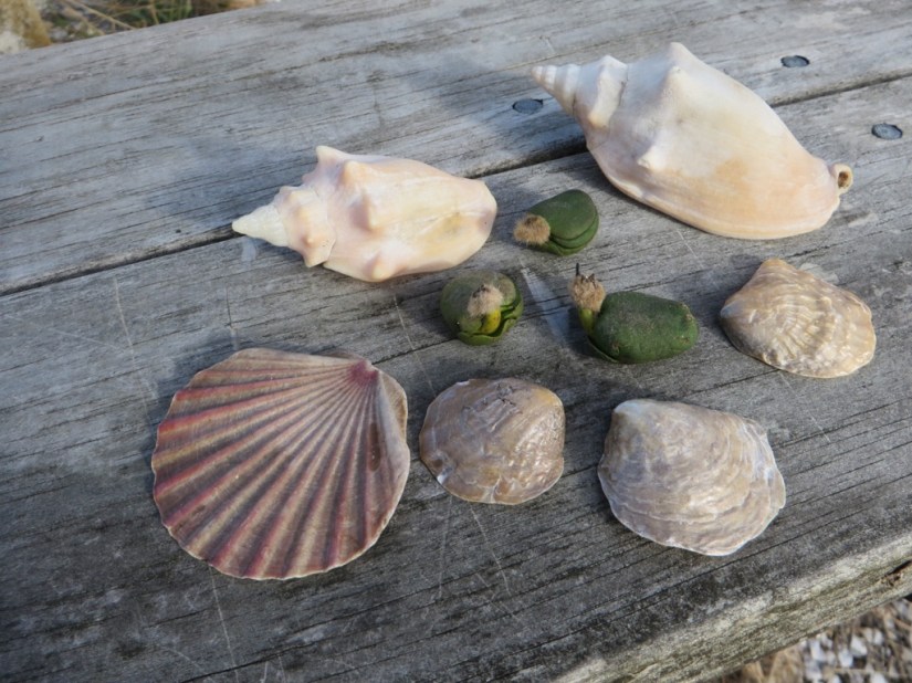 5F5E5FEA-9B7C-4313-80EB-5117FB5AA26C