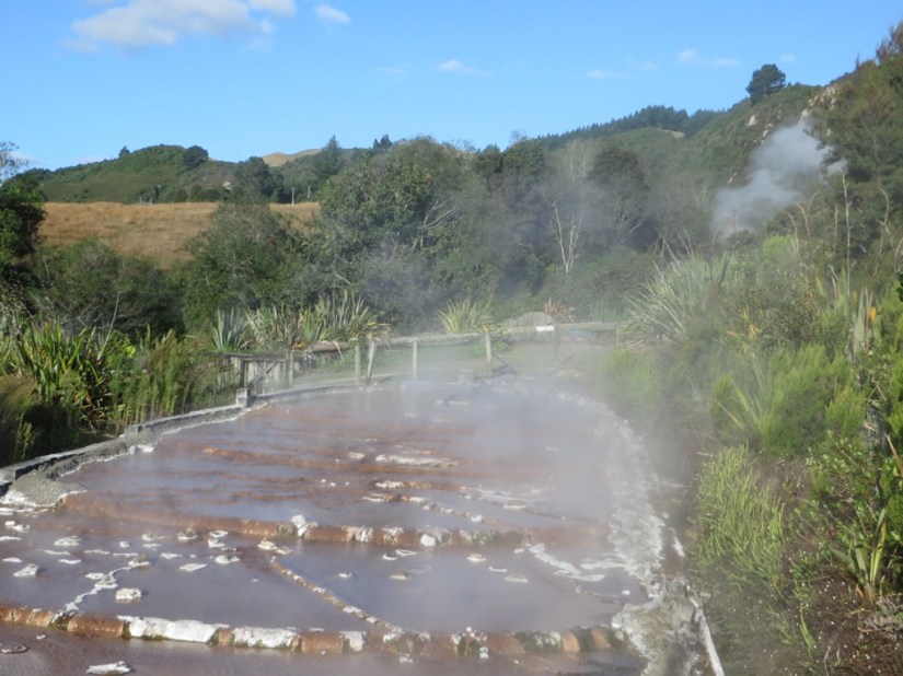 68DEC8EB-EC2D-4368-AE20-2A7BA2D96113