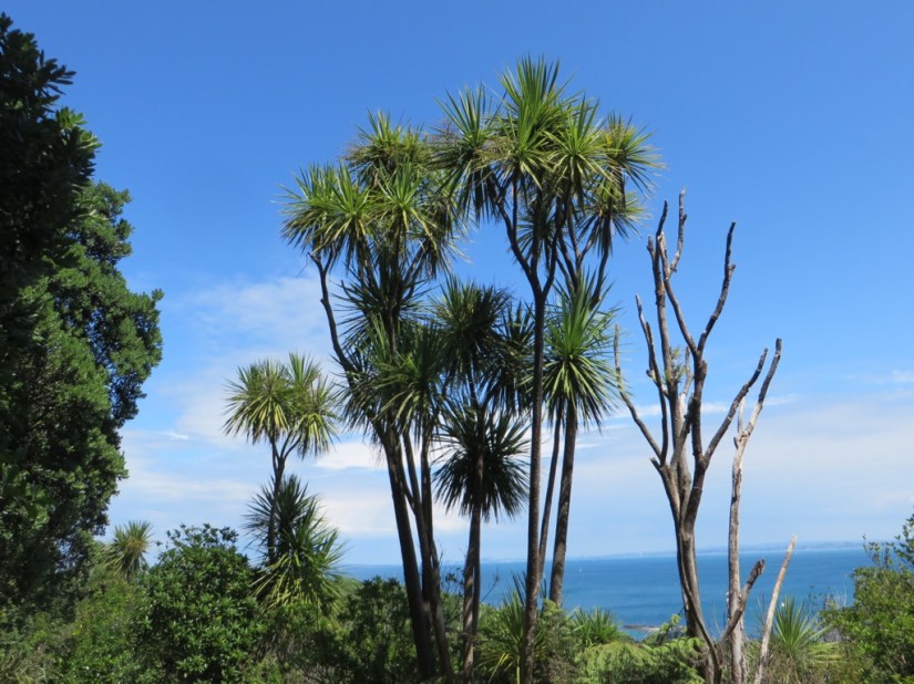 6C86A78F-E8E5-4AFB-8B14-2F06F85C43BC