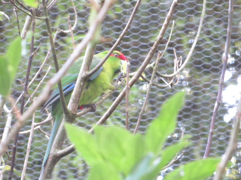 6E024CF8-BE8B-48BA-A7D2-630725577143