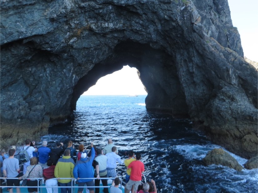 70288E50-C836-45F3-91EA-A2DCC2FEAD52