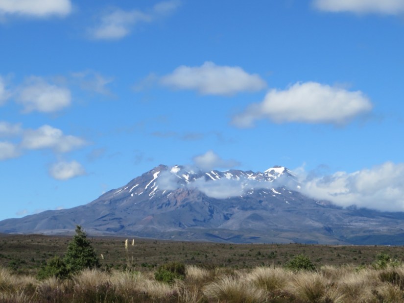 72D1CA11-607C-448D-976D-67AAEFCF613F