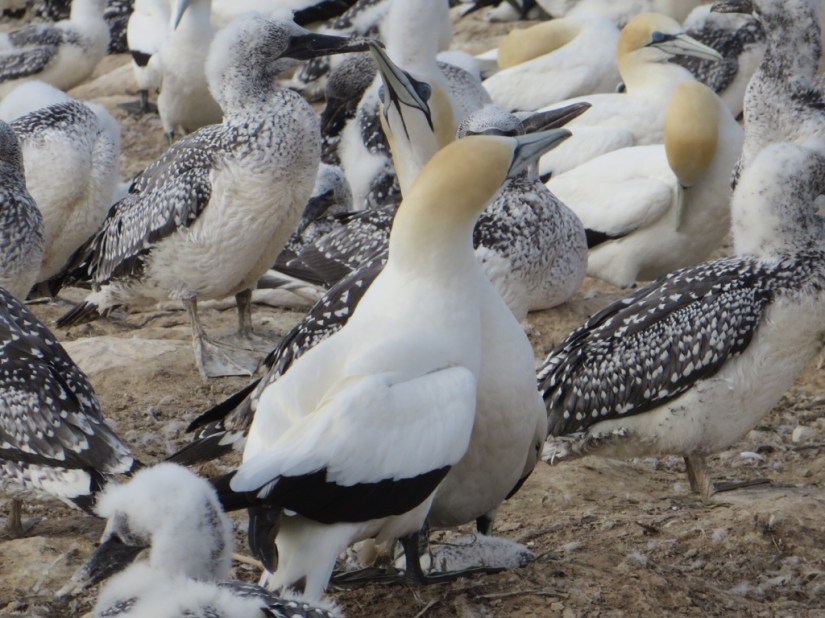 812FDFA8-8A7D-45CA-94E7-B6D17642E71B