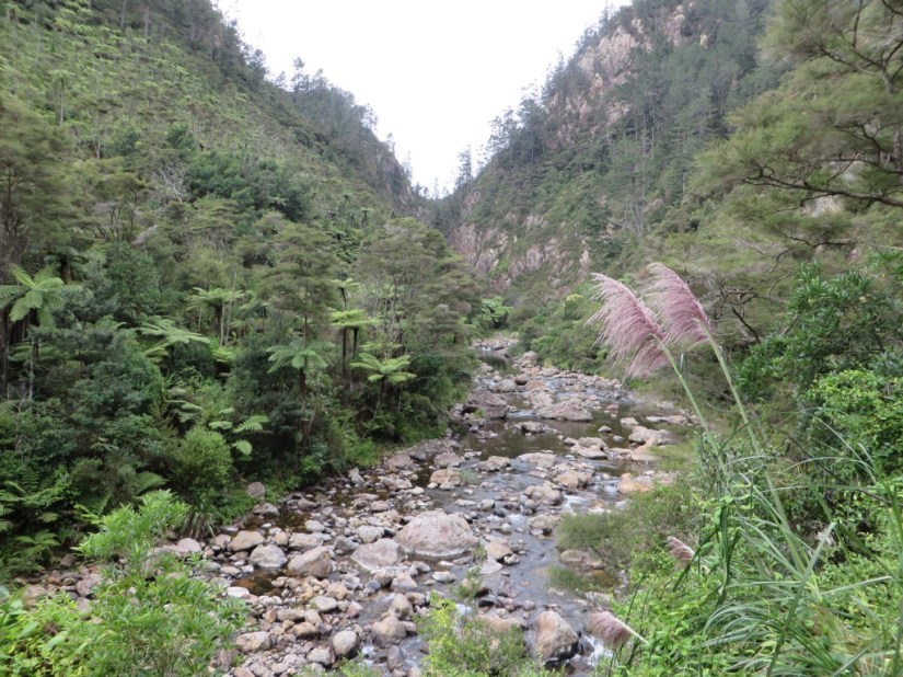 86043CA5-539F-43D3-98EC-DC13786D09E6