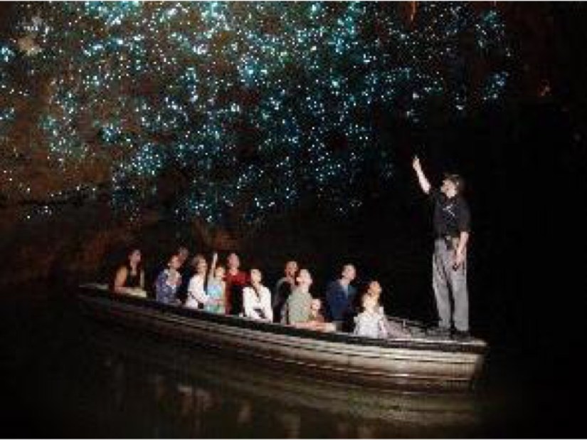 8E678442-7BE9-4D79-B3FE-E8A5BD389FDF