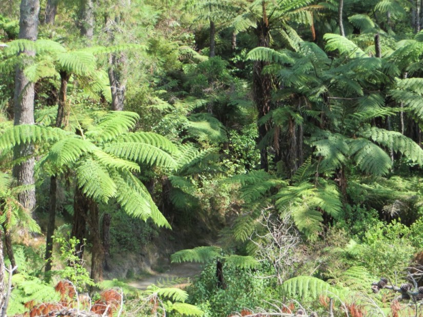 9E86E05C-764E-415B-A53F-D18A1438F0DF