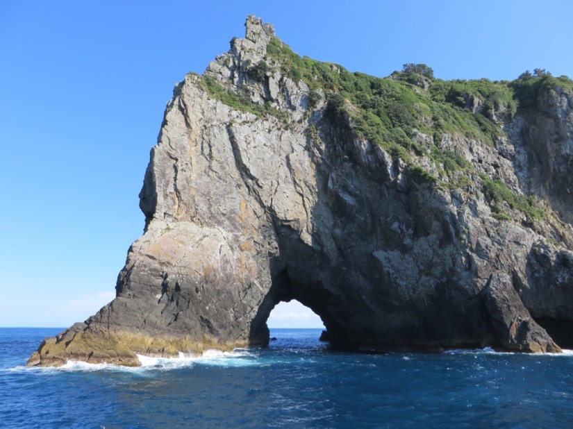 A4604CDC-DED2-49F1-85FE-3ACED9778A7C