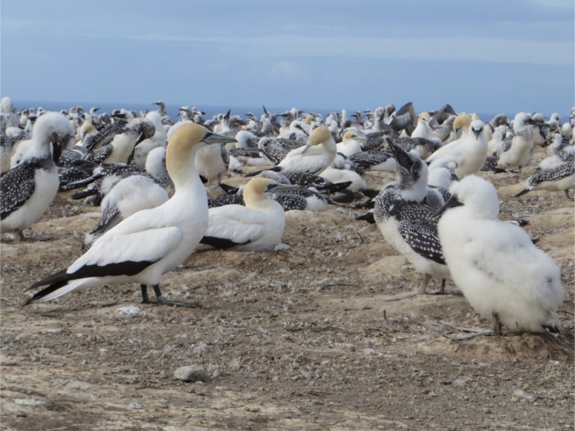 AE05A7A1-B187-4B10-9153-51F75116CA86