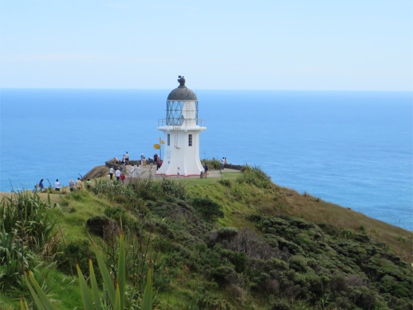 B2D59DC7-1B07-4AF6-BA54-6DE5C6B374D8